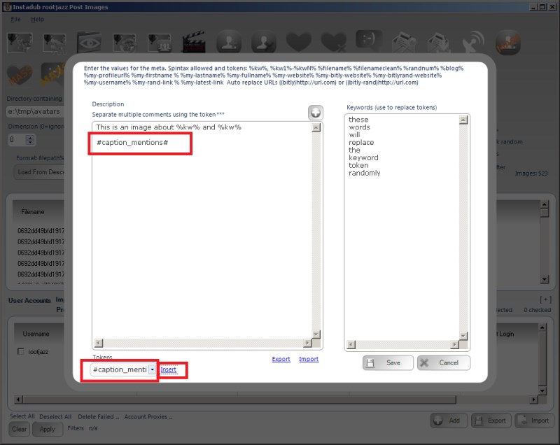../images/add_image_meta_captions_token.png